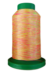 Isacord 40 1000M/1093YDS Color 9914 Neon Brights Variegated